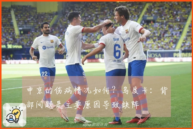 申京的伤病情况如何？乌度卡：背部问题是主要原因导致缺阵