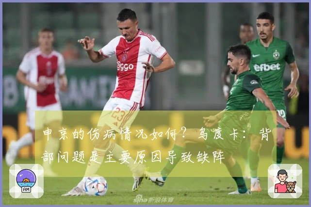 申京的伤病情况如何？乌度卡：背部问题是主要原因导致缺阵